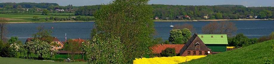 Sommerblick auf Bohnertfeld mit Rapsfeld und der Schlei im Hintergrund