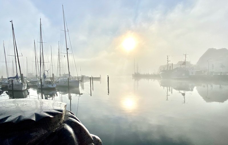 Eckernförde Hafen bei Nebel