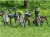 Historische Radwanderung durch Bohnert
