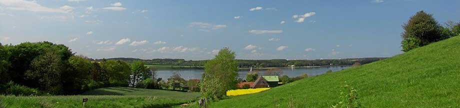 Bohnertfeld im Sommer mit Blick auf die Schlei im Hintergrund