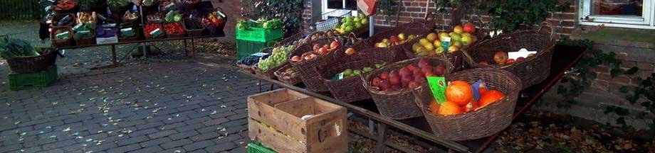 Körbe voll frischem Obst und Gemüse vor einem Biobauernhof in Schoolbek