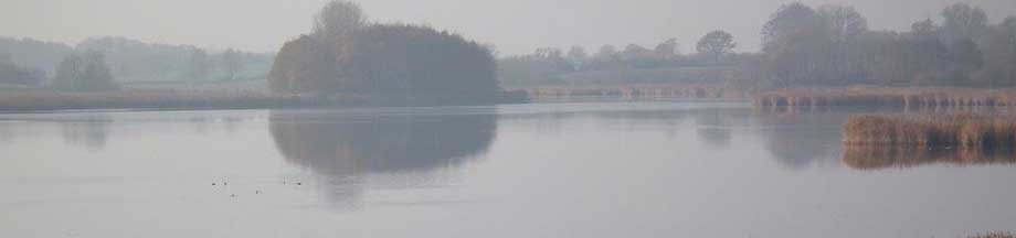 Nebel über dem Ornumer Noor