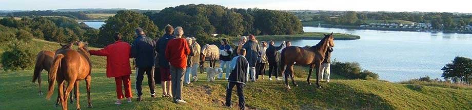 Ansammlung von Reitern und Pferden auf dem Lustberg