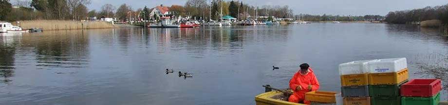 Fischer auf kleinem Fischerboot bei Missunde